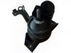 Engine Mount:21810-2C300