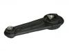 Soporte del motor Engine Mount:82 00 042 453