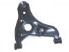 コントロールアーム Control Arm:G030-34-300F