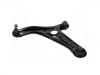 통제 팔 Control Arm:48069-59035