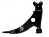 Control Arm:48069-42022