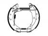 Kit mâchoire de frein Brake Shoe Set:4241.9F