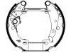 ブレーキシュー Brake Shoe Set:4241.6A