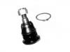 Joint de suspension Ball Joint:40160-41L00