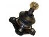 Joint de suspension Ball Joint:43340-39215