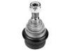 Joint de suspension Ball Joint:77 00 312 851