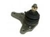 Joint de suspension Ball Joint:43350-39125