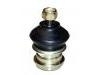 Joint de suspension Ball Joint:54403-38A00