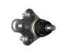 球头 Ball Joint:51220-SWN-H01