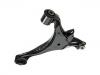 통제 팔 Control Arm:51360-S6D-G00