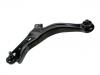 コントロールアーム Control Arm:EC01-34-350F