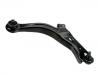 控制臂 Control Arm:EC01-34-300F