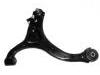 Brazo de suspensión Control Arm:54500-2B000