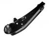 コントロールアーム Control Arm:H001-49-310