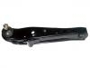 Control Arm:48069-29045