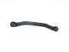 Control Arm:55201-25000