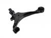 Bras de liaison Control Arm:51360-S9A-A01