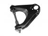 Brazo de suspensión Control Arm:54411-G4000