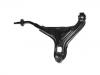 Brazo de suspensión Control Arm:48069-87704