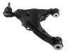 Brazo de suspensión Control Arm:48069-60010