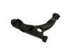 Control Arm:54501-17000