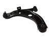 통제 팔 Control Arm:48069-B1020