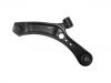 통제 팔 Control Arm:45202-79J00