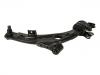 통제 팔 Control Arm:EG21-34-300D