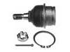 Joint de suspension Ball Joint:40110-EB300