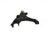 Control Arm:54502-H1002