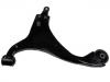 통제 팔 Control Arm:54500-2G001