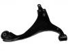 Brazo de suspensión Control Arm:54501-2G001