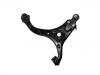 Control Arm:54501-4D001