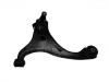 Control Arm:54501-1D100