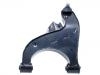 통제 팔 Control Arm:551A1-EB31A