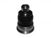 공 합동 Ball Joint:54501-1HA6A#