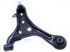 控制臂 Control Arm:48069-79015