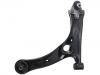 Control Arm:48069-0F010