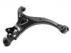 통제 팔 Control Arm:54501-3J000