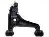 통제 팔 Control Arm:46202-65J01