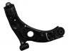 Control Arm:48069-BZ260