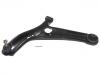 Brazo de suspensión Control Arm:48069-59055