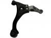 통제 팔 Control Arm:54500-3F600