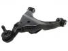 Bras de liaison Control Arm:48069-60020