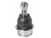 Ball Joint:43350-09100