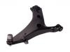 Bras de liaison Control Arm:20202-SG000