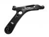 Control Arm:54501-B2000